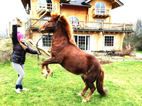 Ginger steigt auf befehl!