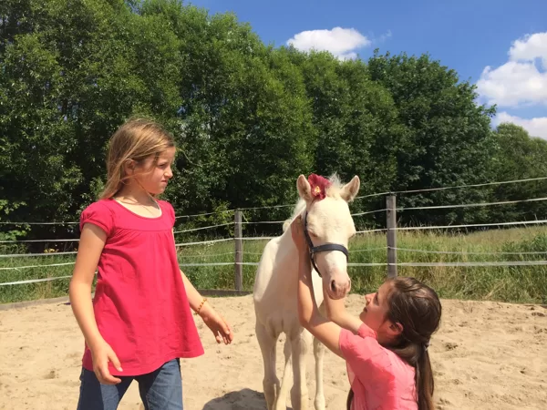 Manche haben Sonnenschein nur wenn die Sonne scheint. Wir haben "Sunshine"  jeden Tag.